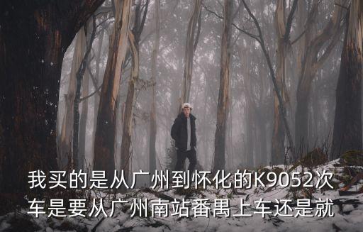 我買的是從廣州到懷化的K9052次車是要從廣州南站番禺上車還是就