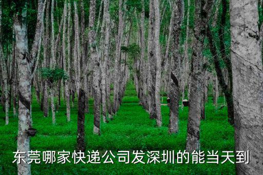 東莞哪家快遞公司發(fā)深圳的能當天到