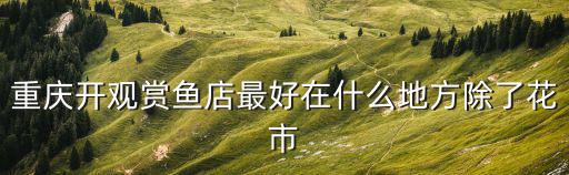 重慶開觀賞魚店最好在什么地方除了花市