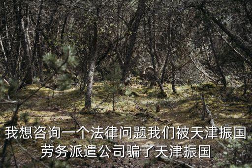 我想咨詢一個法律問題我們被天津振國勞務派遣公司騙了天津振國