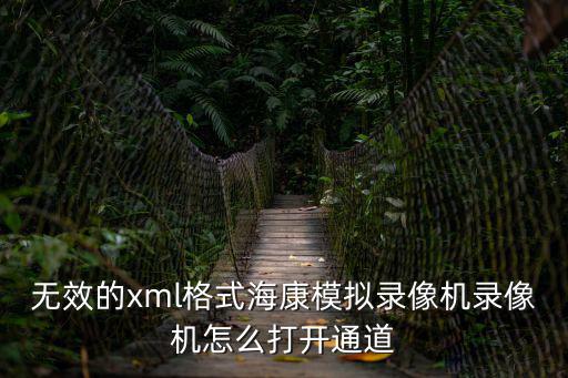 無效的xml格式海康模擬錄像機錄像機怎么打開通道