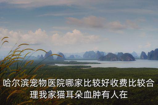 哈爾濱寵物醫院哪家比較好收費比較合理我家貓耳朵血腫有人在