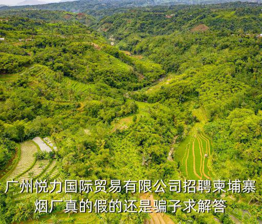 廣州悅力國際貿易有限公司招聘柬埔寨煙廠真的假的還是騙子求解答