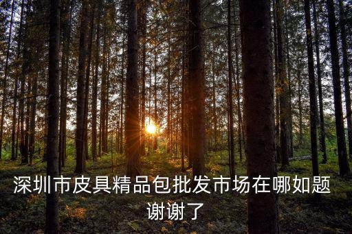 深圳市皮具精品包批發市場在哪如題 謝謝了