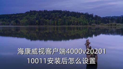 ?？低暱蛻舳?000v2020110011安裝后怎么設置