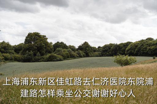 上海浦東新區佳虹路去仁濟醫院東院浦建路怎樣乘坐公交謝謝好心人