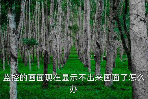 監控的畫面現在顯示不出來畫面了怎么辦