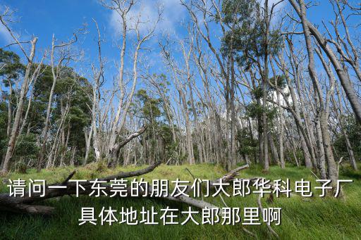 東莞大郎華麗工業園，請問一下東莞的朋友們大郎華科電子廠具體地址在大郎那里啊