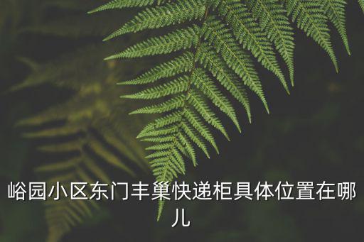 峪園小區東門豐巢快遞柜具體位置在哪兒