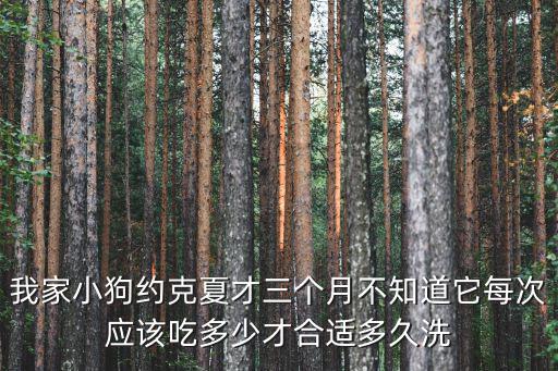 我家小狗約克夏才三個(gè)月不知道它每次應(yīng)該吃多少才合適多久洗