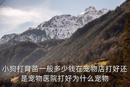 小狗打育苗一般多少錢在寵物店打好還是寵物醫(yī)院打好為什么寵物