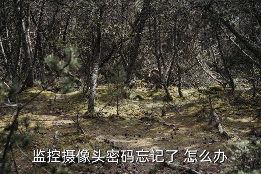 監(jiān)控一體機(jī)的密碼忘記了怎么辦，監(jiān)控系統(tǒng)忘記密碼了怎么辦