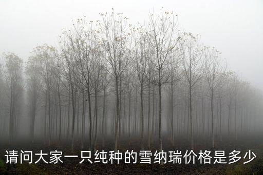 請問大家一只純種的雪納瑞價格是多少