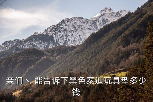黑色泰迪一般多少錢，親們丶 能告訴下黑色泰迪玩具型多少錢