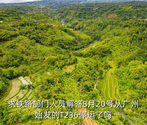 廣州的火車停運了嗎，8月2號達州開行廣州1098次火車停運了嗎