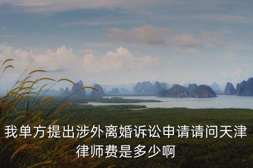 我單方提出涉外離婚訴訟申請(qǐng)請(qǐng)問天津律師費(fèi)是多少啊