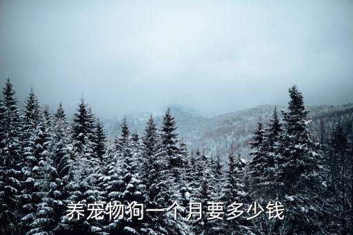 狗每天需要多少錢，狗寄養一天多少錢