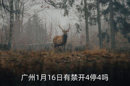 廣州1月16日有禁開4停4嗎