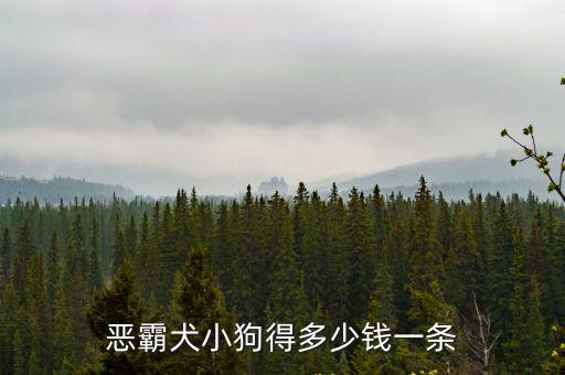 惡霸犬小狗得多少錢一條