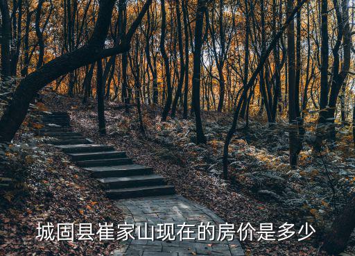 城固縣哪個鄉(xiāng)鎮(zhèn)房價低點，城固縣崔家山現(xiàn)在的房價是多少