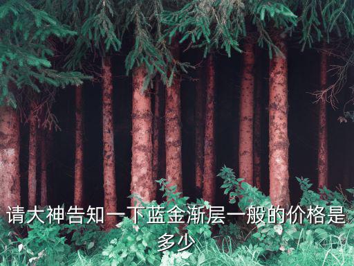請大神告知一下藍金漸層一般的價格是多少