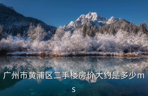 廣州市黃浦區二手樓房價大約是多少ms