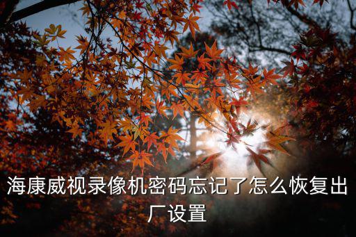 海康威視錄像機密碼忘記了怎么恢復出廠設置