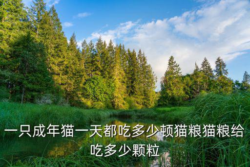 一只成年貓一天都吃多少頓貓糧貓糧給吃多少顆粒