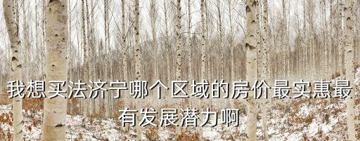 我想買法濟寧哪個區域的房價最實惠最有發展潛力啊