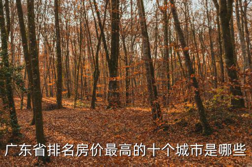 廣東省排名房價最高的十個城市是哪些
