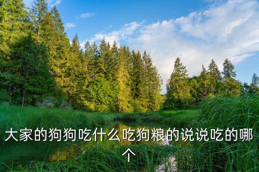 大家的狗狗吃什么吃狗糧的說說吃的哪個