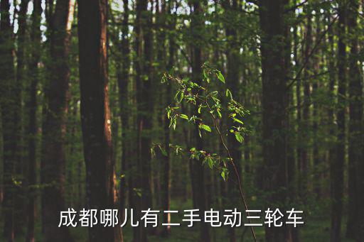 成都哪兒有二手電動三輪車