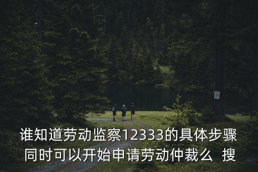 誰知道勞動監察12333的具體步驟 同時可以開始申請勞動仲裁么  搜