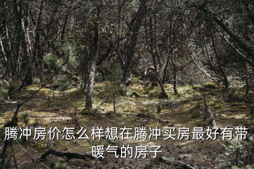 騰沖房價怎么樣想在騰沖買房最好有帶暖氣的房子