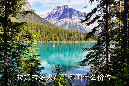 拉姆拉多犬產于哪國什么價位