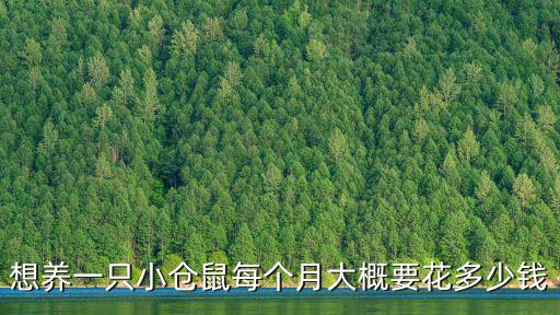 倉鼠的養(yǎng)殖溫度是多少錢，養(yǎng)一只倉鼠要多少錢