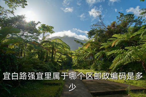 天津市宜白路玉琢里郵編多少，宜白路強宜里屬于哪個區郵政編碼是多少