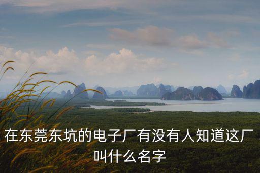 東莞東坑有哪些電子廠，東坑哪個電子廠好