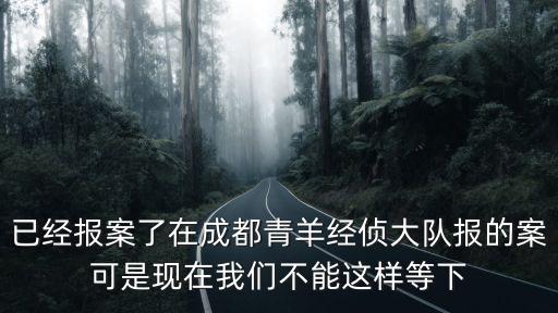 已經報案了在成都青羊經偵大隊報的案可是現在我們不能這樣等下