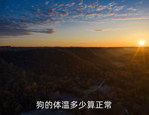 一歲的狗狗正常體溫多少正常值，狗狗的標(biāo)準(zhǔn)體溫是多少