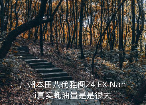 廣州本田八代雅閣24 EX Nani真實蠔油量是是很大