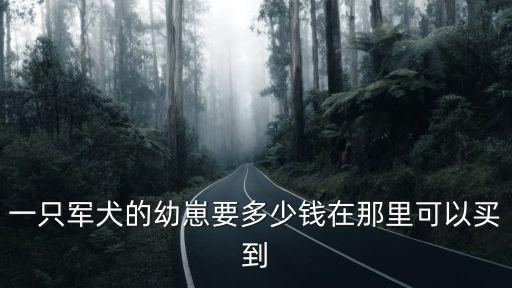 一只軍犬的幼崽要多少錢在那里可以買到