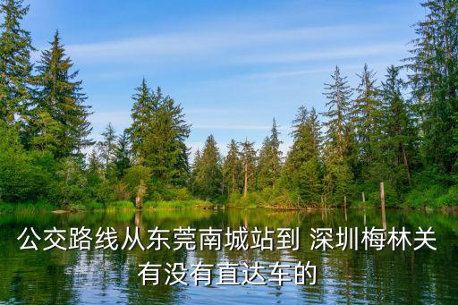 東莞公交313，虎門313公交車早上最早幾點從長安發班