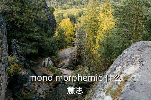 深圳模糊Morph酒吧，mono morphemic 什么意思