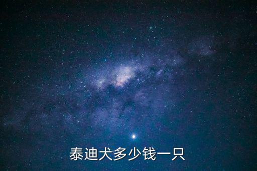 泰迪犬多少錢一只
