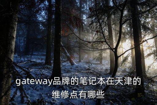 gateway品牌的筆記本在天津的維修點有哪些