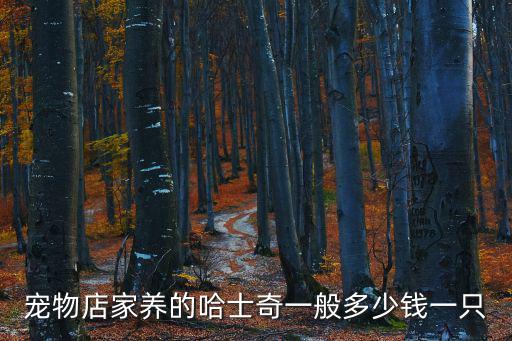 家養(yǎng)哈士奇多少錢，領(lǐng)養(yǎng)一只哈士奇要多少錢