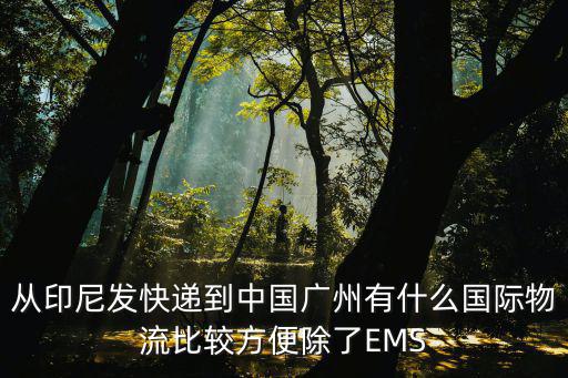 從印尼發快遞到中國廣州有什么國際物流比較方便除了EMS