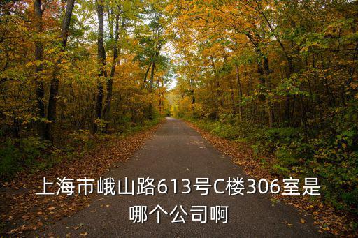 上海市峨山路613號C樓306室是哪個公司啊
