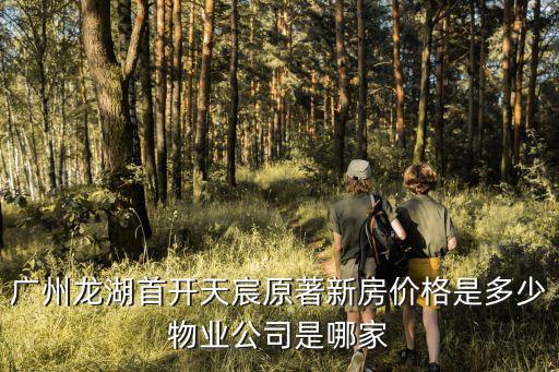 廣州龍湖首開天宸原著新房價(jià)格是多少物業(yè)公司是哪家